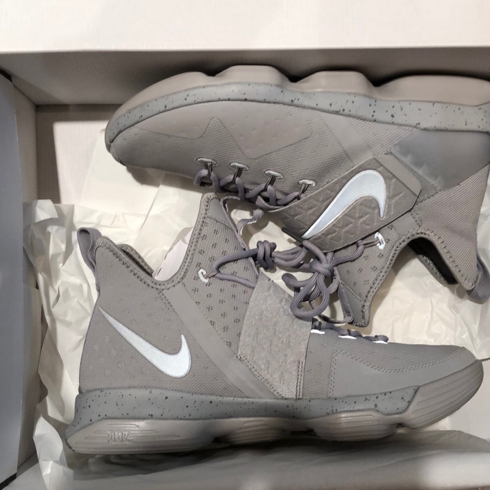 Lebron XIV -Brand New silver/Reflect Silver